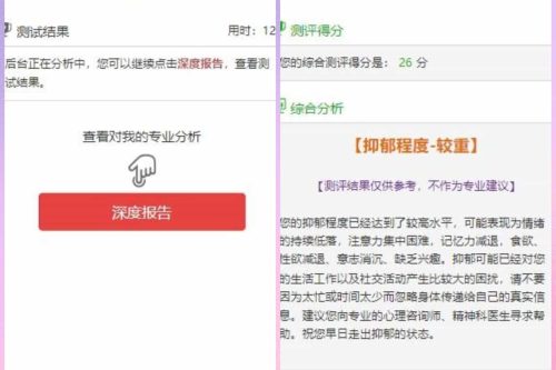 付费心理测试网站源码、心理测试H5变现源码、心理测评网站源码